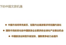 疫情危机中的机遇与挑战（一个年轻人的奋斗与成长）