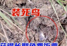 快乐的无限可能——一个追寻快乐的故事