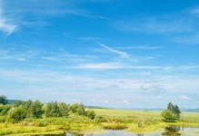 绿色的神秘世界——一次探险旅程（深入大自然，发现美丽的奥秘）