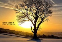 你是我生命中的阳光（爱与温暖从此不离不弃）