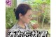 重拾希望（一个人的奋斗史）