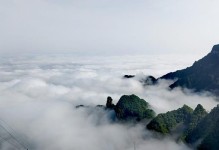 海洋之舟（在大自然的怀抱中寻找生命的力量）