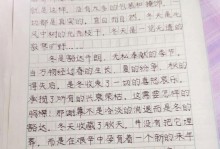 冬日里的温暖（雪花飘落，心灵相聚）