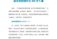 一个小孩子的成长故事（一个小孩子的成长故事）