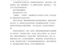 我的春节愉快时光（家人、美食、烟花）