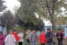 捡拾温暖的力量（在寒冷冬天里寻找生命的美好）