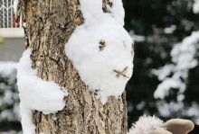 《雪精灵的奇幻之旅》（一场关于勇气与团结的旅行）