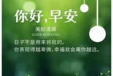 喜从天降（一份吉祥的礼物）