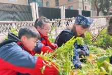 《播下梦想之种》（即使是小小的萌芽也能长成参天大树）