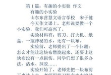 实验室的奇妙世界——探索未知的领域