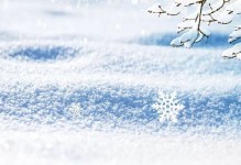 一场雪前耻的成长之路（年轻人的一次错误，带来了不一样的人生体验）