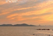 一个孩子的向日葵观察之旅（一个孩子的向日葵观察之旅）