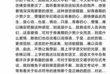青春如朦胧，人生如诗（现实与梦想的交织）