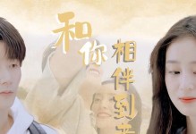 追寻梦想的路（以我最想做的事为导向）