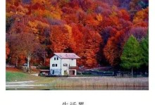 一个人的感悟之旅——寻找美的瞬间