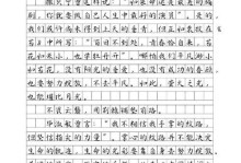 风雨同行坚持不懈（一个年轻的音乐家的成长之路）