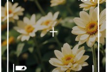 珍惜相处的时光