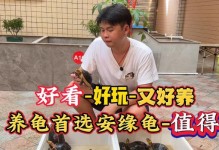 令人赏心悦目——美丽的结局（一位年轻人的成长之路）