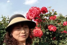 忘掉烦恼，向快乐出发（一个人的寻找之旅）