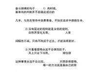 拼搏奋斗的日子（一位少年的成长之路）