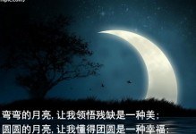 TheResilientSpirit