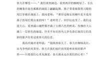 寻觅春天的足迹（一个少女的冒险之旅）