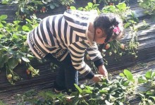 美在我们生活中（一段追寻美的故事）