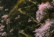 花卉盛宴，春光无限（百花争艳，青春绽放）