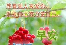 美好心情，阳光人生（用美好的心态迎接每一天）