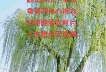 一场别开生面的聚会（温暖的回忆）