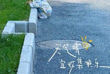 良好品质铸就未来（良好品质铸就未来）