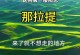 大自然的治愈力量（大自然的治愈力量）