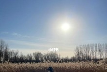 冬日里的温暖（太阳的微笑）