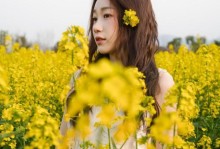 温暖的时刻（冬天里的温馨故事）