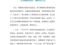用心传递温暖（用心传递温暖）