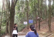 在人生的岔路口，如何不迷失自我？（一个女孩的选择和坚持）