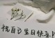 追寻梦想的女孩（她勇敢地面对生命的一切）
