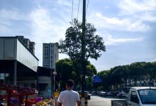 挫折中的成长之路（生活教会我如何坚强面对困难）