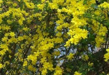 而最后，再让我们一起宣誓：从今天开始，让我们彼此共进退，共同迎接春天的到来。