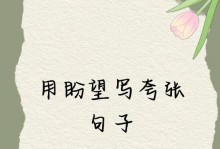 “激情十年，从未放弃。”（“一场冒险，改变了我的人生。”）