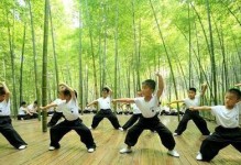 向阳而生（勇气飞翔）