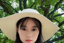 乡村情怀（一个乡村女孩的成长故事）