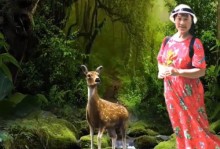 天人合一（自然和谐）