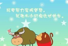 梦想实现的艰辛之路（一位普通人的奋斗史）