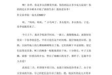 荒野之中的奇遇（迷失在岩石堆中的探险家）