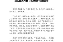 挫折中成长——我的故事（从失败到成功，我的成长之路）