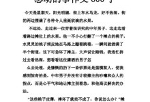 恩情之桥（一位老人的爱心之旅）