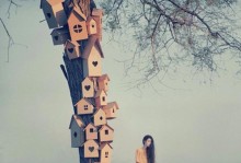 珍视自己所拥有的（学会珍视生命，珍惜时间）