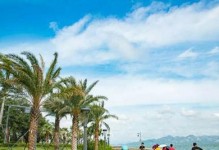 一段美妙的旅程（一段美妙的旅程）