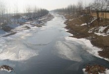 那条曾经清澈见底的河流（一场污染带来的惨状）